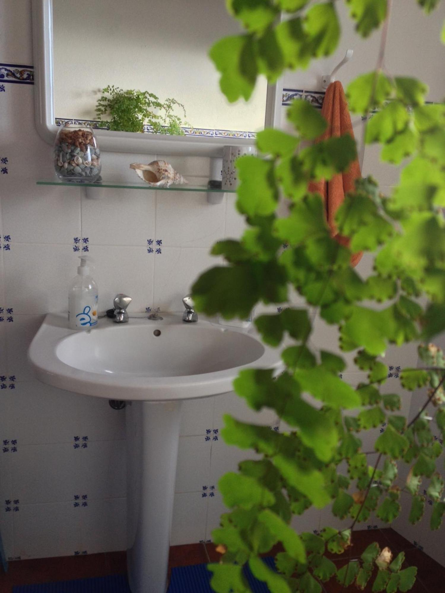 Sea House Villa Ribeira Seca do Porto Екстериор снимка
